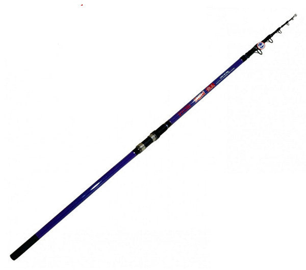 Καλάμι Ryobi Fujin 4.00m / 40-100gr