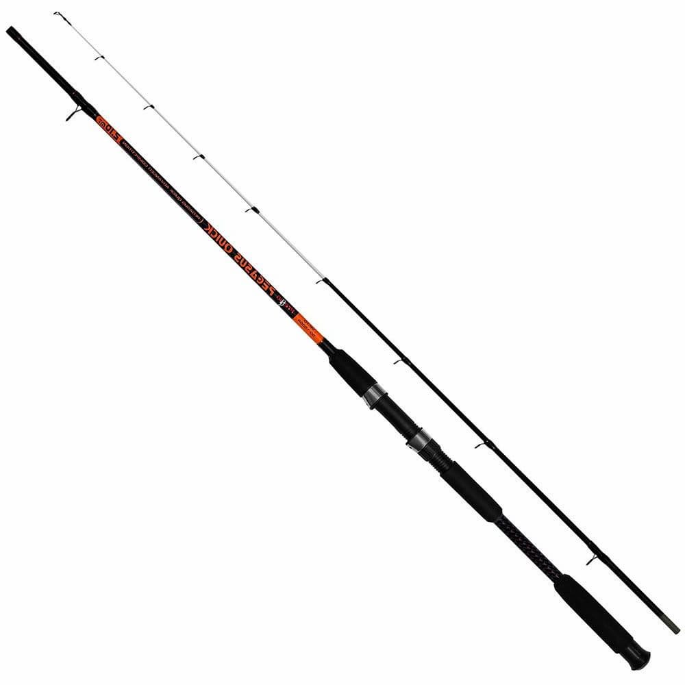 Καλάμι Pregio Pegasus Quick 2.10m / 50-150gr
