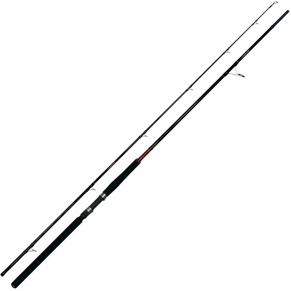 Καλάμι Pregio Passion Shore Jigging 3.05m / 60-100gr